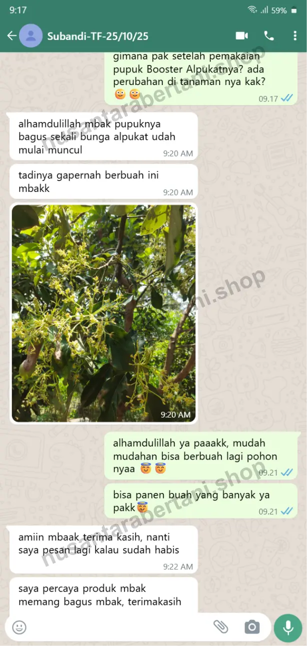 ALPUKAT-7.webp